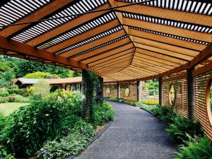  Líderes en remodelaciones – mantenimiento - áreas verdes– calidad – prestigio